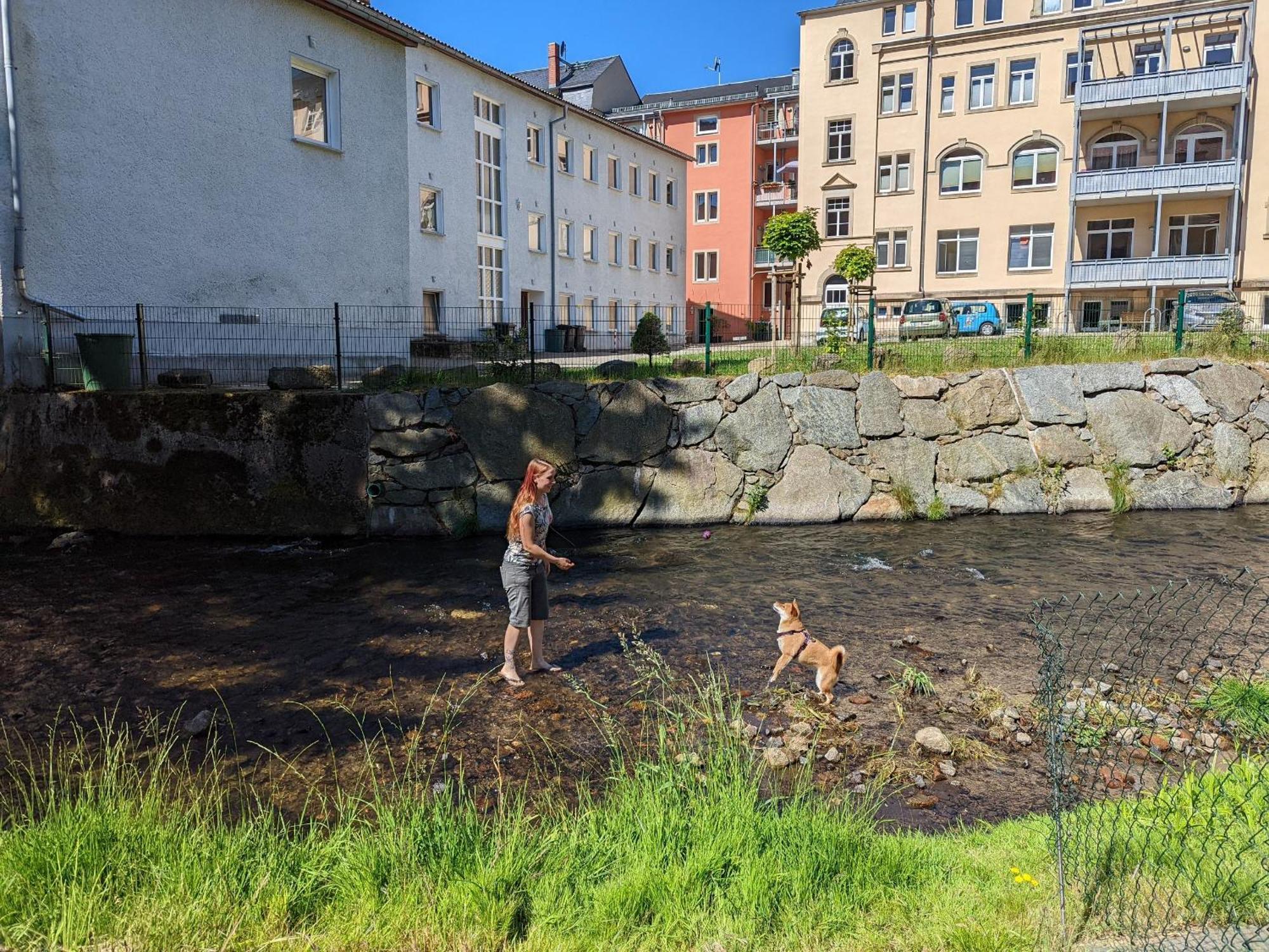 Hw1 - Urlaubsmagie - Sauna&Whirlpool Zum Entspannen Sebnitz Dış mekan fotoğraf